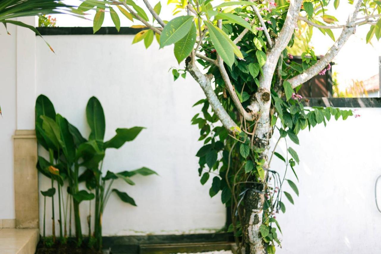 Adi Guest House Canggu Esterno foto