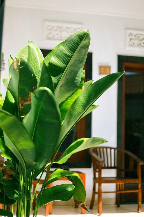 Adi Guest House Canggu Esterno foto